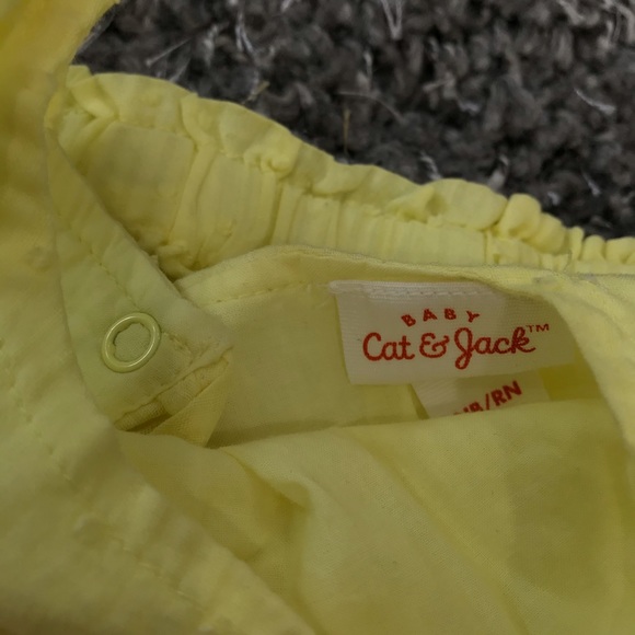 Cat & jack - Picture 5 of 5